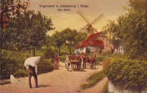 Vogelsdorfer Windmühle um 1900